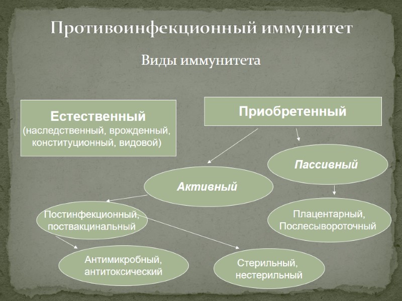 Виды иммунитета Противоинфекционный иммунитет Естественный (наследственный, врожденный,  конституционный, видовой)  Приобретенный Активный 